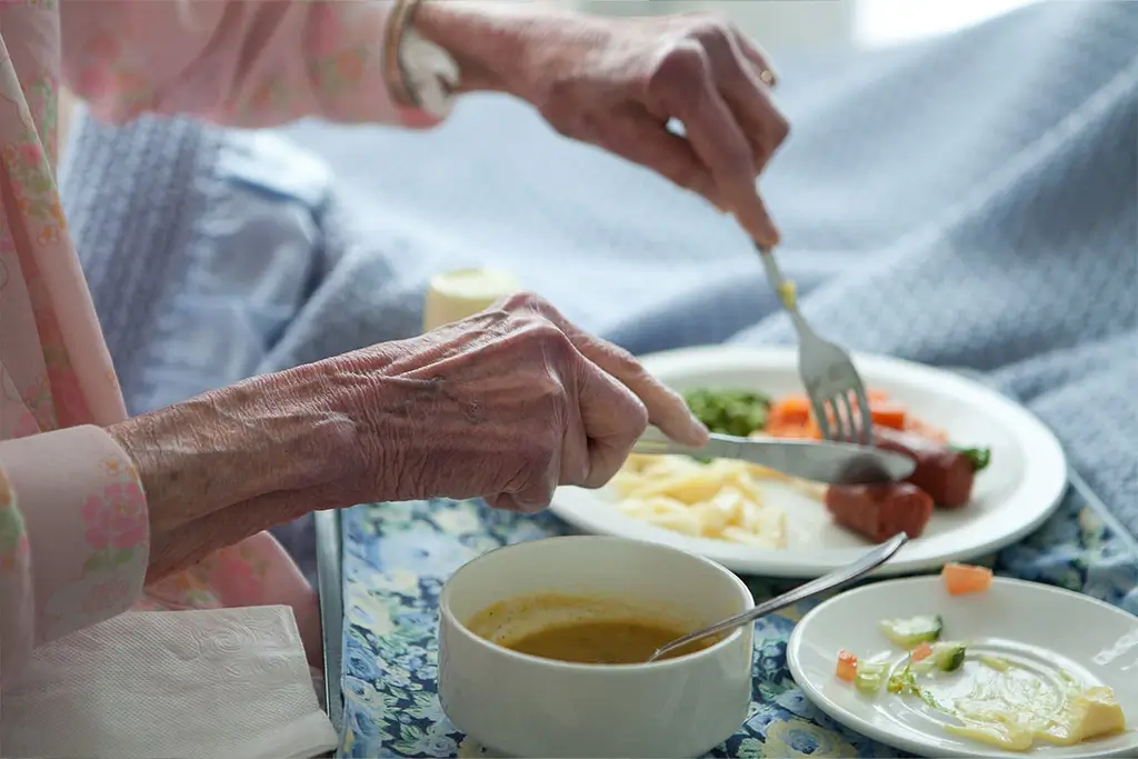 close up elderly person using knife and fork