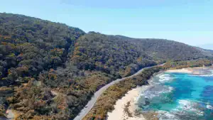 menu nsw